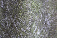 Holme On Spalding Moor fibreglass roof work